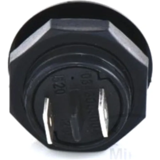 Bosch Push Button Switch for Motorcycles_0