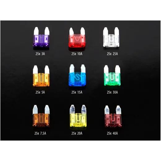 Mini Fuse Assortment 3-40A 225 Pieces_0