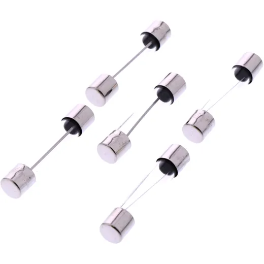 Glass Fuse 10A 32x6 for American Vehicles 1490170_0