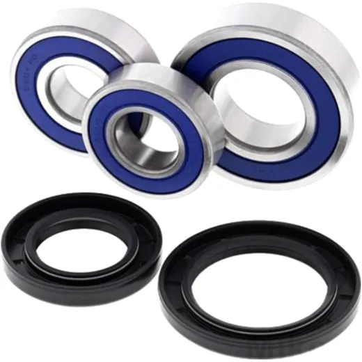 Complete Wheel Bearing Kit All Balls Racing with Seals for Motorcycles 7520895