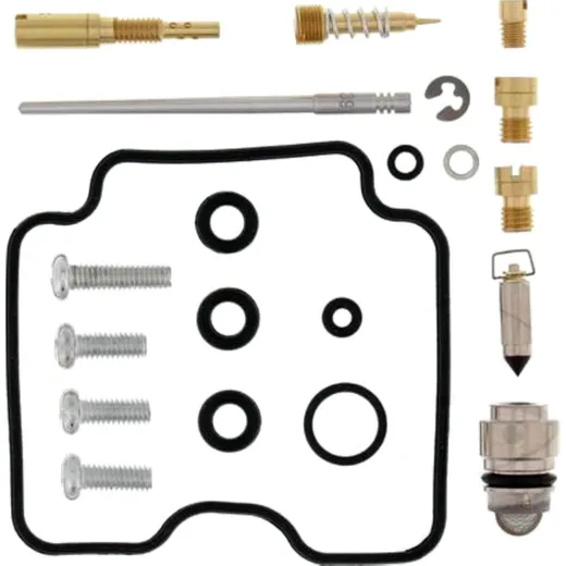 Carburetor repair kit 261263_1