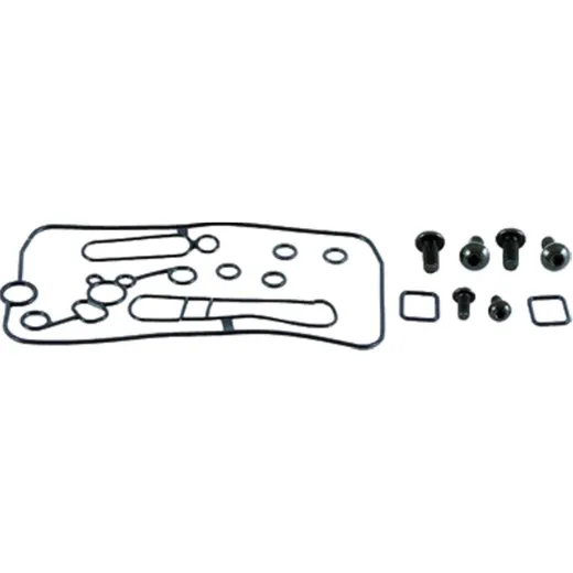 Vergaser Reparatursatz All Balls Racing 261510