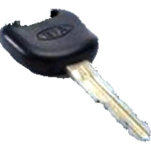 Schlüsselanhänger für Motorräder weiß PVC 1000 Stück