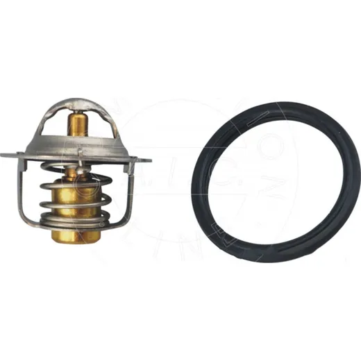 Thermostat mq