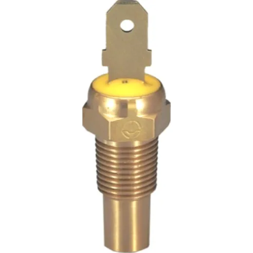 Kühlmitteltemperatursensor ID
