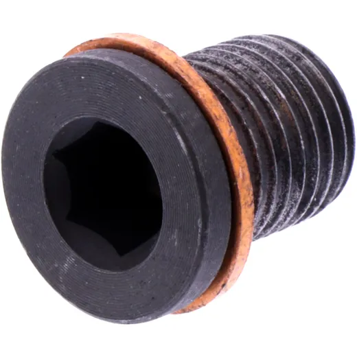 Oil Drain Plug with Gasket for SEAT & VW
