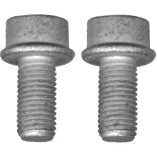 Bremssattelschraubensatz M10 x 1.25X20 für Audi, Mitsubishi