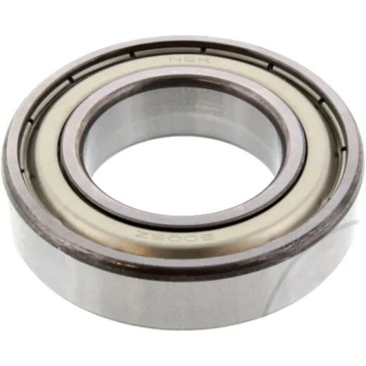 bearing 6006ZZ
