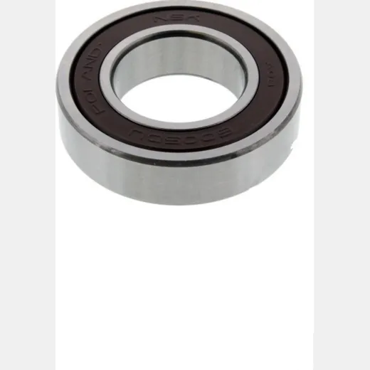 bearing 6005DDU