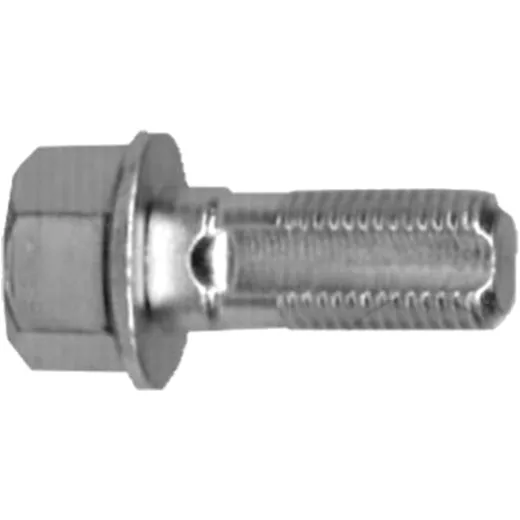 Hohlschraube M10 x 1 für Bremsschlauch