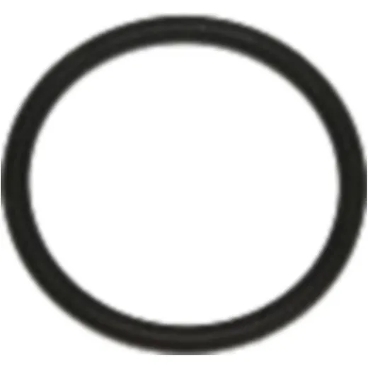 Sealing Ring FPM 16X19X1.5 for Chevrolet