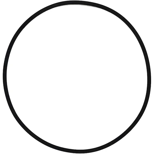 Gasket for Throttle Body - compatible with BMW, MINI_0