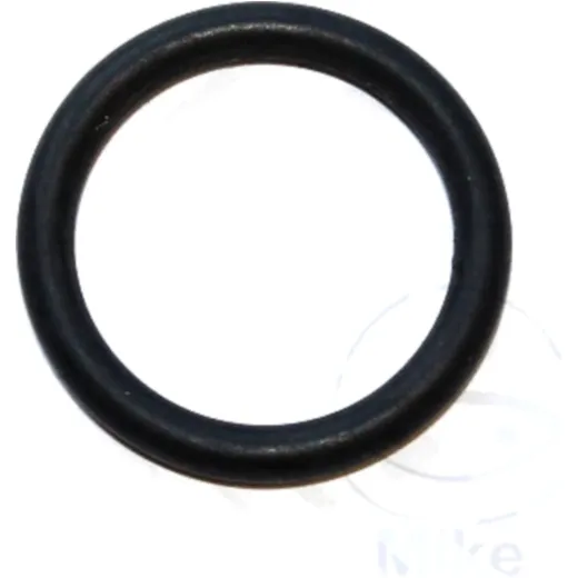 Sealing Ring FPM 17X2.65