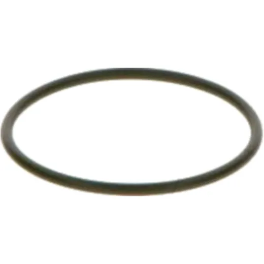 Dichtring Einspritzsystem