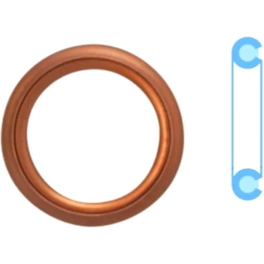 SEAL RING OELABLASSS for motorcycles