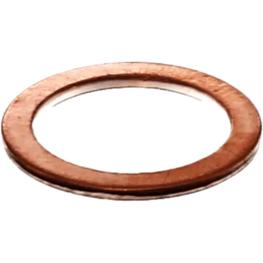 Sealing ring oil drain plug mineral 25 st altn 4554320 for: Beta Evo, Minicross, REV3