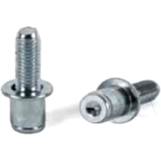 Blind Rivet Bolt M6x13 for Motorcycles