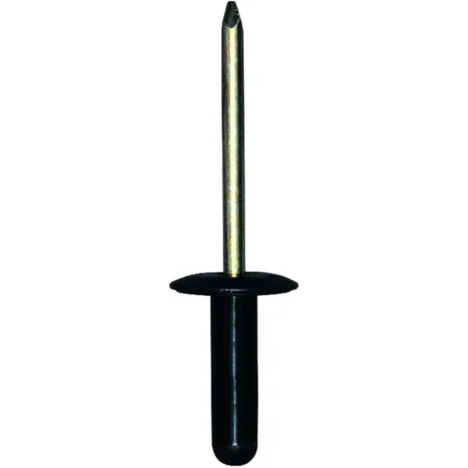 Blind Rivet 6.0X21.3 for Ford