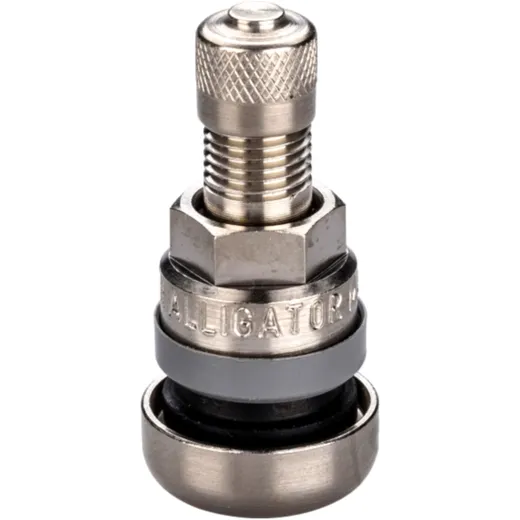 Ventil Metall 31MS ASC HT für Motorräder_0