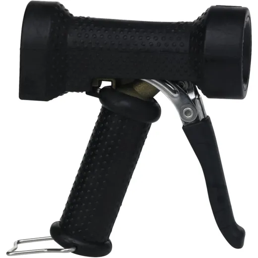 DINGA Water Gun 25BAR for Cleaning