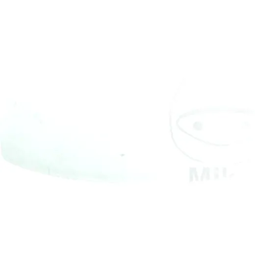 Adaptor for Replacement Nozzle 5555070