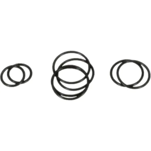 O Ring Kit for High-Performance Spray Gun 6561003