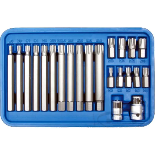 Bit Satz Ribe 22-teilig 10 mm
