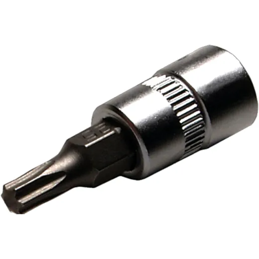 1/4" Torx Insert T10 for Motorcycles