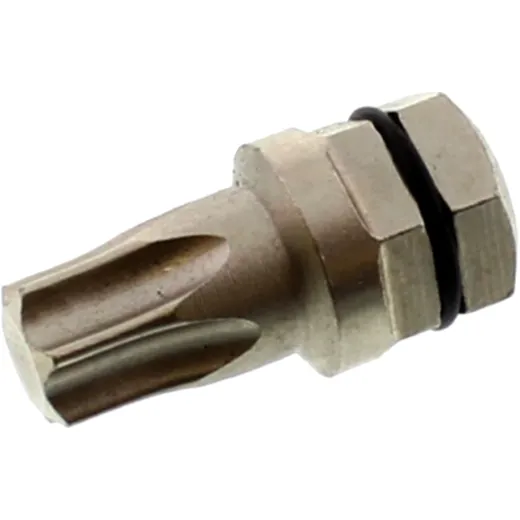 Bit Torx T45 für 6320005