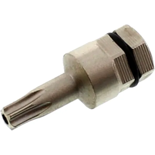 Torx T20 Bit with 5/16=8MM Hole