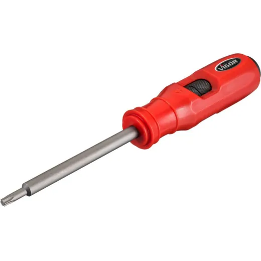 SCHLAGSCHRAUBENDR Torx V7124T25
