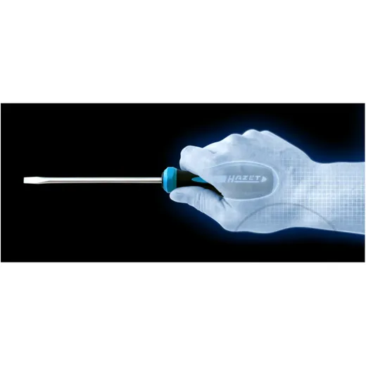 10-Piece Screwdriver Set HAZET HEXAnamic®_1