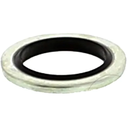 Dichtring für Schlauchanschluss JMP Lux 500