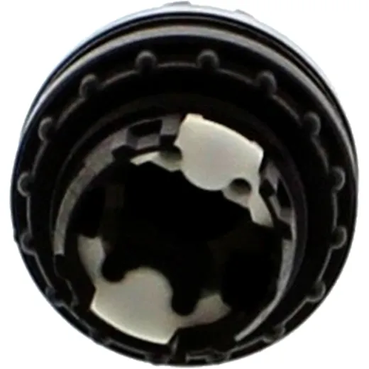 WAHLTASTE Nussbaum für LICHT CLT 990446