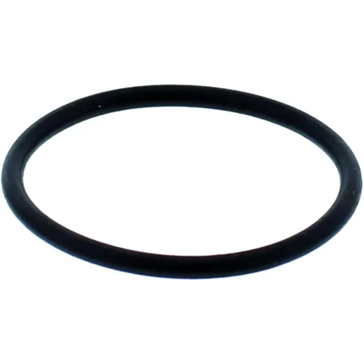 O-Ring for Nussbaum Piston