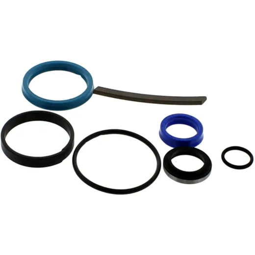 Hydraulic Cylinder Seal Kit 55 mm for Nussbaum