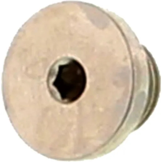 Verschlussschraube SCREW PLUG für Zylinder AC VL3/6/10