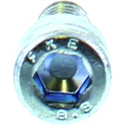 Entlüftungsschraube M6x12 für Becker MD 155