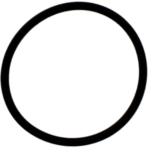 O-Ring für AC Hydraulic 6520453