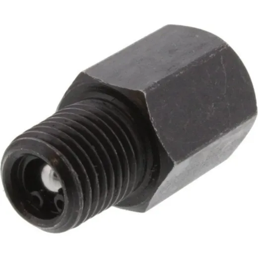 Check valve 704858