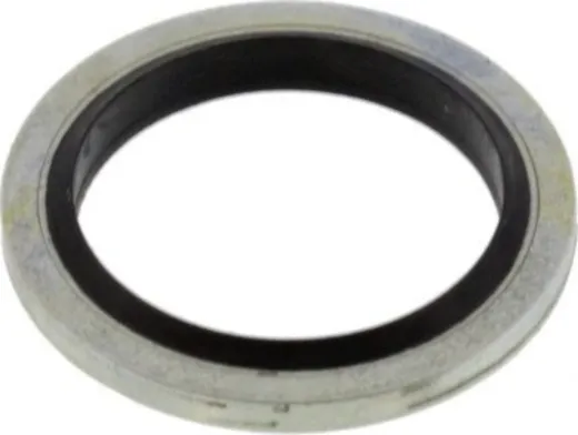 Dichtring Schlauchanschluss für JMP Fox 4000 H