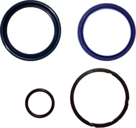 Dichtsatz für BIKELIFT 350/500 60 mm DRM