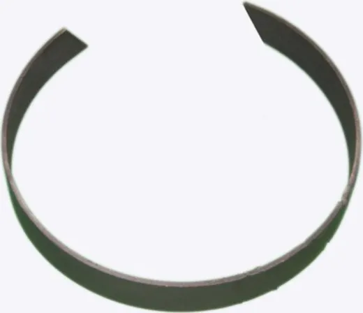 Guiding Ring 172 mm for Nussbaum