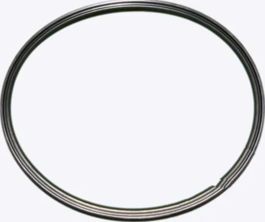 Scraper for Nussbaum Seal 160 mm