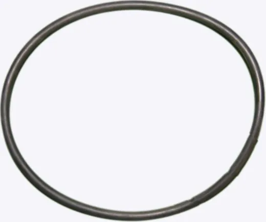 O-Ring für Nussbaum Stempelabdichtung 172 mm