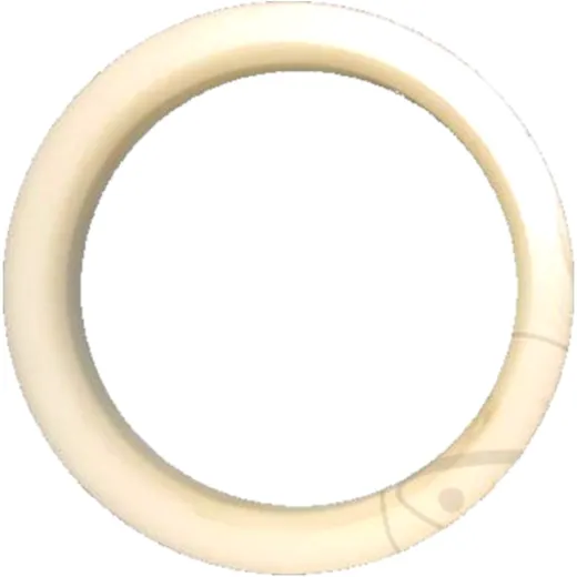 GUIDE RING TS for Hydraulic Cylinder