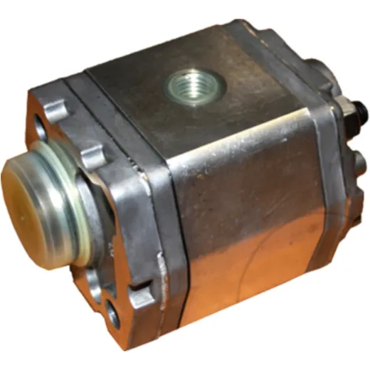 Gear Pump for Nussbaum