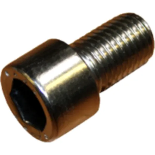 Cylinder Head Screw M16X25 DIN 912 V2A for motorcycles