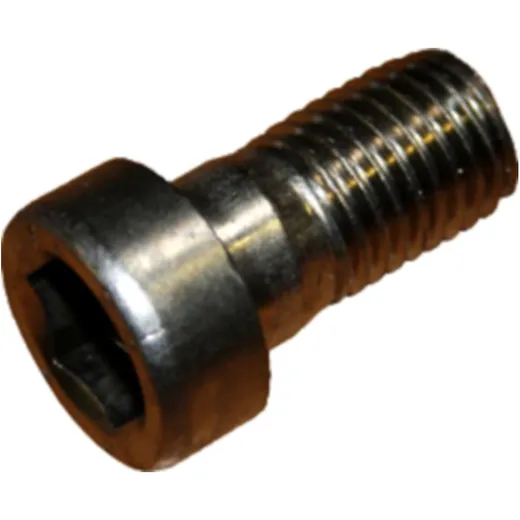 Cylinder Head Screw M16x30 DIN 912 - Stainless Steel