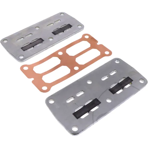 VALVE PLATE for Airmobil 521 (from 2015)